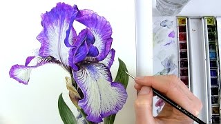 How to Paint an Iris [upl. by Aneehsar558]