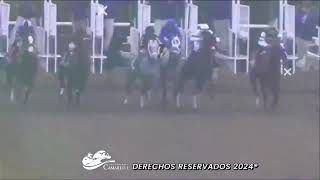 Hipódromo Camarero Live Stream [upl. by Kelila]