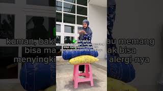 Gak semudah dijemur saja Ini alasan kenapa harus vacuum hydroclean tungau vacuum mites [upl. by Leind872]