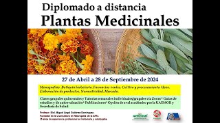 CURSO GRATUITO MEDICINA TRADICIONAL HERBOLARIA MEXICANA ABRIL 2024 [upl. by Zednanref]