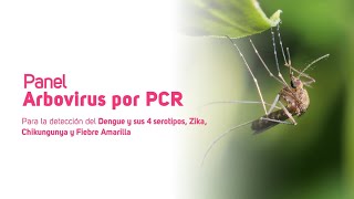 Panel Arbovirus por PCR [upl. by Snah]