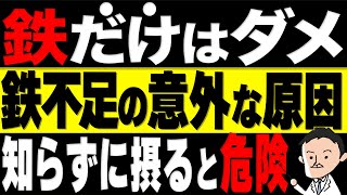 【貧血が治らない人】鉄サプリを飲んでも治らない。鉄不足が起きる意外な原因10選 [upl. by Noed366]