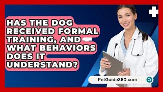 Has the Dog Received Formal Training and What Behaviors Does It Understand  PetGuide360com [upl. by Val]