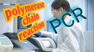 process of polymerase chain reactionbiochemistry pcr method science icmr  CSIR [upl. by Lady]