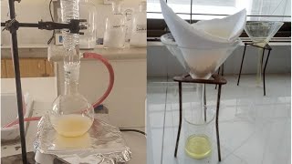 Synthesis of benzoyl hydrazide  reaction bw ester and hydrazine hydrated chemistry [upl. by Ivers87]