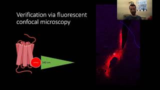 PSY210 CH5 PT4 Methods Neurochemical Methods [upl. by Bamby]