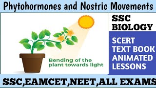 Understanding Phytohormones in Class 10th BiologyExploring Phytohormones Class 10th Biology Lesson [upl. by Hagerman]