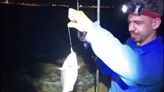 la zenia febrero pesca en piedra desde altura [upl. by Sivat]