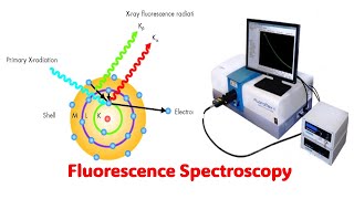 Fluorescence Spectroscopy l Explained with Animation [upl. by Anauqaj]