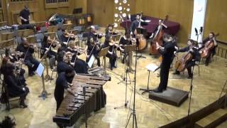 Worlds AwayFINALby EGorchevaM Dimov  Concerto for marimba perc piano and string orchestra [upl. by Attenyt]