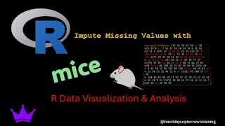 R Data Visualization amp Analysis Impute Missing Values With MICE [upl. by Nowahs158]