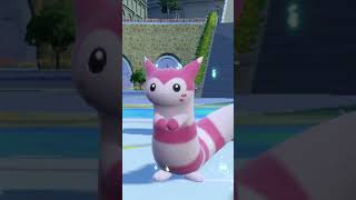 SHINY SENTRET EVOLVES INTO FURRET IN POKEMON SCARLET shorts shinypokemon [upl. by Kcirdde]