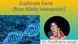 Duplicate Gene Non Allelic interaction [upl. by Yboc]