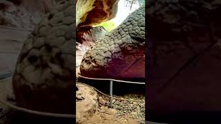 SERPIENTE GIGANTE PETRIFICADA EN TAILANDIA  CUEVA DE NAKA  insólito descubrimiento shorts [upl. by Yrrac]