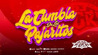 Cumbia De Los Pajaritos EditadaWEPA 2024  DjGecko [upl. by Claudian]