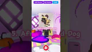 TOP 5 MOST PREPPY PETS IN ADOPT ME roblox adoptme gaming viralvideo [upl. by Hamford]