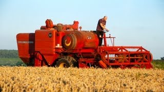 Classic Combine Week 6 Massey Ferguson 510 [upl. by Malchus]