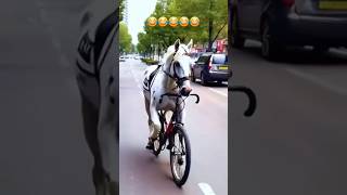 Funniest Horse Bicycle Riding Caught on Camera [upl. by Ahlgren]