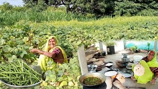 अंगापुरत्या रशात शिजवलेली आजीची गावरान पध्दतीची रबरबीत शेंगएकदा खाल्ल तर आणखी मागालchavlichi sheng [upl. by Stanzel]