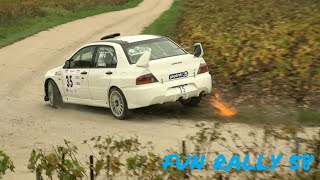 Rallye VINS DE CHAMPAGNE 2024 Part1 [upl. by Mill415]