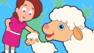 Marie A un Petit Agneau  Cartoon pour les enfants  vidéo éducative  Comptine [upl. by Htaeh355]