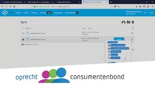 Backup je bestanden met Sync  How to Consumentenbond [upl. by Nylrehs344]