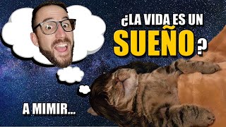 DESCARTES Y si todo fuera una ILUSIÓN 😳 El sueño cartesiano EXPLICADO [upl. by Lizabeth]