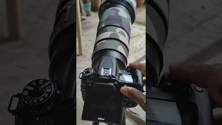 Nikon D7500 Continuous Low Shutter nikon camera ytshort ytshortsindia [upl. by Vyse]