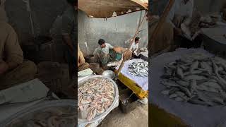 Gwadar jannat bazar fish market [upl. by Nadeen722]