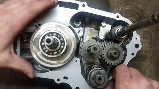 125cc pitbike engine rebuild part 1 of 3 [upl. by Eboj251]