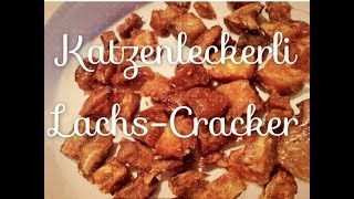 Gesunde Katzenleckerli Rezept LachsCracker [upl. by Elyak]