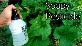 Beat Aphids amp Mites By Making Your Own Wetting Agent JWA Spray JADAM JWA Pt 2 [upl. by Eelyak41]