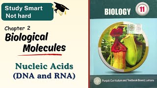 Nucleic Acids  DNA and RNA  Class 11  1st year  Chapter 2  Punjab  Biology [upl. by Andri]