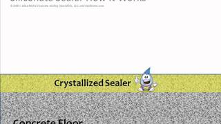 How Does a Siliconate Concrete Sealer Work Video SealGreencom  8009973873 [upl. by Schmeltzer883]