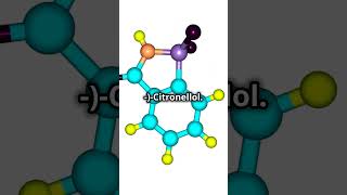 CitronellolThe odour battle 3♾️ Chem FactTheCHEMLabviralvideo status study facts [upl. by Eemak484]