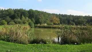 Wandern Franken Keller Karpfen KruzifixHallerndorf Kreuzberg und Aischgrund [upl. by Leahcin]