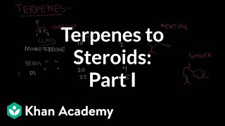 From terpenes to steroids part 1 Terpenes  Endocrine system physiology  NCLEXRN  Khan Academy [upl. by Ahscrop624]