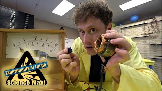 Science Max  FULL EPISODE  Generating Electricity  Season 2 [upl. by Siuqram]