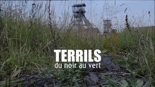 Terrils du noir au vert [upl. by Cirone]