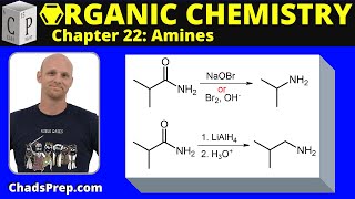 224b Synthesis of Amines Hofmann Rearrangement [upl. by Mathe100]