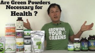 Are Green Powder Super Foods Necessary for Health [upl. by Rehtaef328]