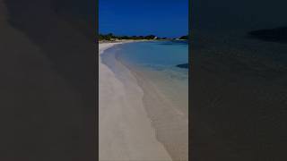 nature aruba youtubeshorts viralvideo 🇦🇼🌺💙 [upl. by Hamlani481]