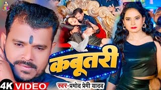 Video  कबूतरी  Pramod Premi Yadav  Kabutri  Shivani Singh  New Dhamka Song 2024 [upl. by Nomi453]