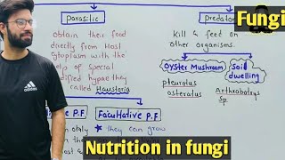 Nutrition in fungi  Saprophytic Parasitic And Predator Fungi  Class 11 Biology [upl. by Unni]