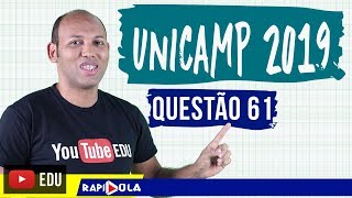 UNICAMP 2019  MATEMÁTICA Q61  REPRESENTAÇÃO DECIMAL [upl. by Steffane]