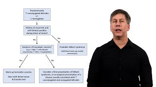 An Approach to Jaundice [upl. by Drais]