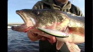 Introducing the Rapala® XRap® [upl. by Aivil]