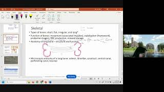 AampP Exam II Review Session F24 [upl. by Ambrose]