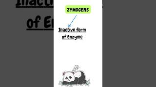 Zymogens shorts ytshorts viralshorts youtube zymogens enzymes trending pritiduhanofficial [upl. by Adnicul]