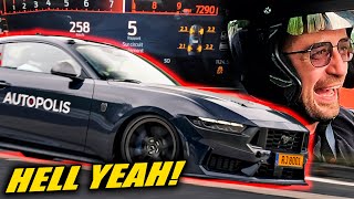 Ford Mustang Dark Horse is INSANELY GOOD  Nürburgring [upl. by Sanyu]